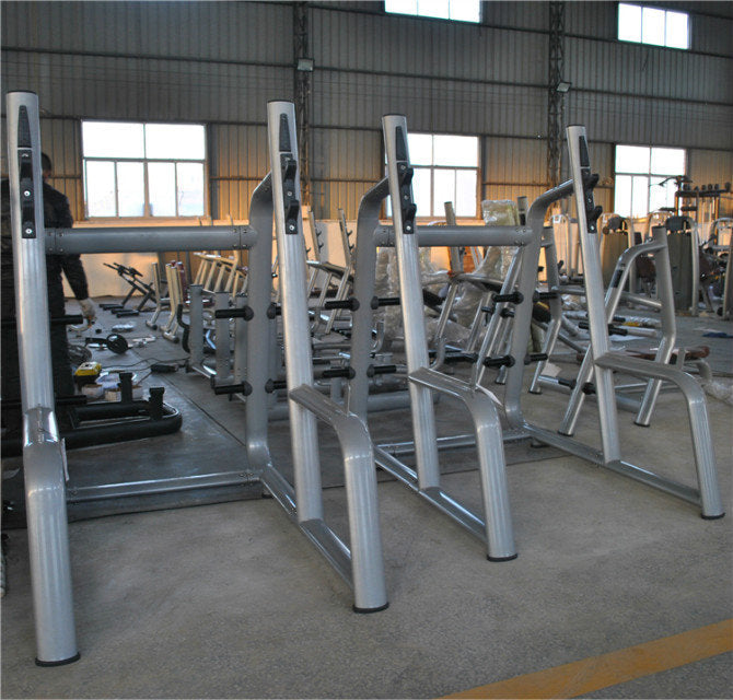 Squat Rack (AN50)