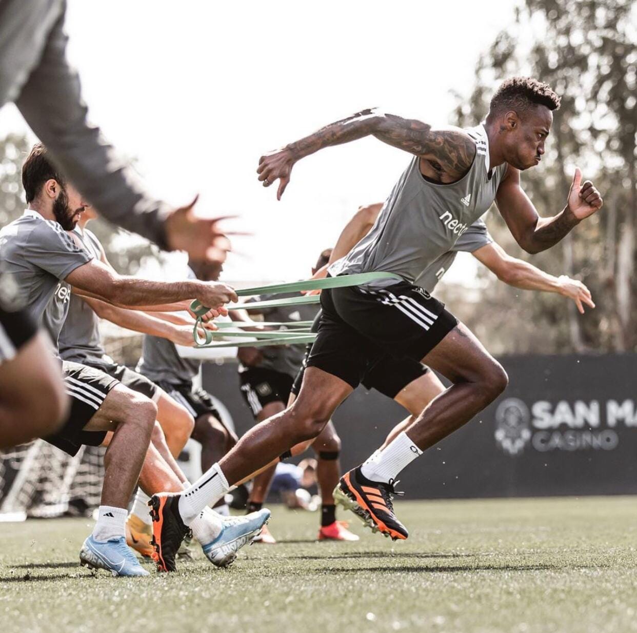 Control Sox 2.0 - Limited Edition